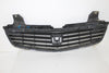 1999-2001 Honda Odyssey Grill - BIGGSMOTORING.COM